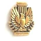 Membership Pin - Gold