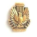 Membership Pin - Gold