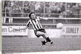 Box Canvas Print of Charlton Athletic v Newcastle United Football 1984 from MirrorPrintStore