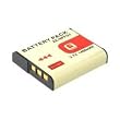 Zeikos haute puissance NP-BG1 NP FG1 960mAh Sony Cybershot Cyber-shot Remplacement Lion de Lithium Batterie d'appareil photo num�rique pour:- DSC-H3 DSC-H7 DSC-H9 DSC-H10 DSC-H50 DSC-N1 DSC-T20 DSC-T100 DSC-W30 DSC-W35 DSC-W40 DSC-W50 DSC-W55 DSC-W70 DSC-W80 DSC-W90 DSC-W100 DSC-W120 DSC-W130 DSC-W150 DSC-W170 DSC-W200 faite par PRO DEALS FR