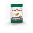 Royal Canin Dry Dog Food, Mini Indoor Adult 21 Formula, 15-Pound Bag