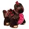 Webkinz Ganz