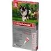 Bayer K9 Advantix 55 (21-55-lbs)