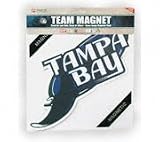 Tampa Bay Devil Rays Magnet