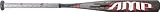 Worth YBAM13 2012 AMP Youth Baseball Bat (-13oz. Drop)