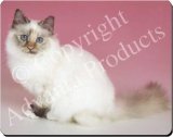 TORTIE BIRMAN CAT Mouse Mat / Pad