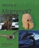 What Is a Mammal? (The Animal Kingdom)