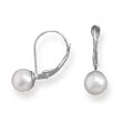 Grade AAA 6-6.5mm Cultured Akoya Pearl Earrings with White Gold Lever Cup