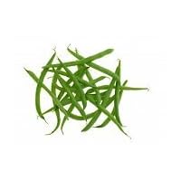 Contender Bush Bean Seeds