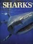 Sharks