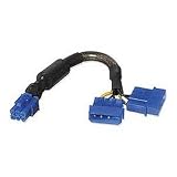 PCI Express Power Adapter W/ 2 Molex, 6in