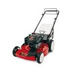 Toro Recycler Self-Propelled Mower Briggs & Stratton 6.75 TP (22) #20331