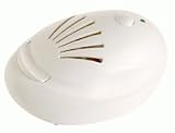 Young Living Travel Diffuser with 5 ml Lavender