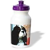Dogs Cavalier King Charles Spaniel - Cavalier King Charles Spaniels - Water Bottles