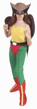  Child's Justice League Hawkgirl Costume (Size: Small 4-6)