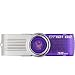 Kingston Digital 32 GB USB 2.0 Hi-speed Datatraveler Flash Drive DT101G2/32GBZ, Purple