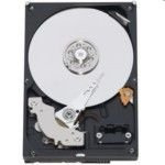 Electronics : WD Caviar Green WD10EADS - Hard drive - 1 TB - internal - 3.5" - SATA-300 - 7200 rpm - buffer: 32 MB