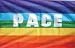 Flagge 90 x 150 : PACE mit Ösen