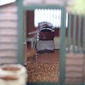 Cover image : 風物詩シリーズ 1/60 佃煮や 組立キット