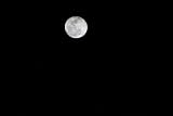 Understanding the Phases of the Moon: An Astronomy 101 Tutorial (Astronomy 101 Tutorials)