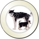 NEW-SIBERIIAN HUSKY FAMILY Tax Disc Holder