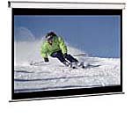 100IN Diag Manual Pull Down Screen 4:3 60 X 80 Black Case