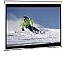 100IN Diag Manual Pull Down Screen 4:3 60 X 80 Black Case