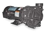 Dayton 2YEW7 Centrifugal Pump, 3 HP, 3 Ph, 230/460V
