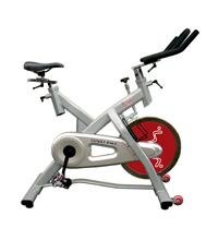 Sunny SF-B1003 Indoor Cycling Bike