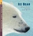 Ice Bear