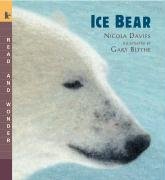 Ice Bear