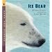 Ice Bear