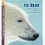 Ice Bear