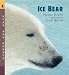 Ice Bear