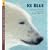 Ice Bear