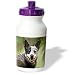 Dogs Australian Cattle - Australian Cattle Dog - Water Bottles