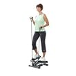 - Twist Stepper