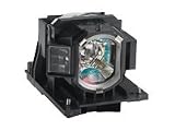 3000 Hours Replacement Lamp 5000 Eco Mode IN5122 IN5124