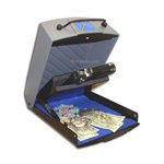 SWVV1014 Smith & Wesson Electronic Pistol Safe