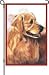 golden_retriever13golden retriever - 28 IN FLAG GOLDEN RETRIEVER