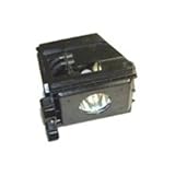 Electrified BP96-01403A E-Series Replacement Lamp