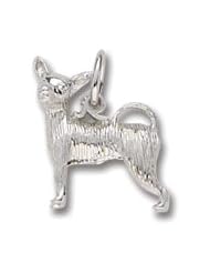 Chihuahua Charm