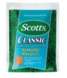 ZZSI17288 10# KET BLUEGRS SEED