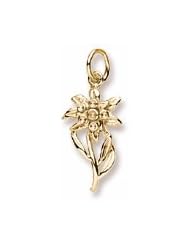Rembrandt Charms, Edelweiss Charm, 10K Yellow Gold