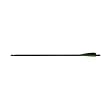 Barnett 22" Arrows-w/Field Point and Moon Nock
