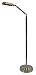 Tools & Hardware : Grandrich ES-117N 65' Full Spectrum Adjustable Floor Lamp in Black and Gold - Energy Star