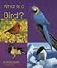 What Is a Bird? (The Animal Kingdom)