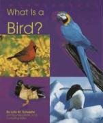 What Is a Bird? (The Animal Kingdom)