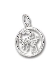 Scorpio Charm