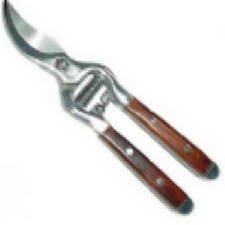 Nan Shan #600132 CC Stainless Steel By Forg Pruner